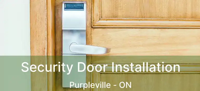  Security Door Installation Purpleville - ON
