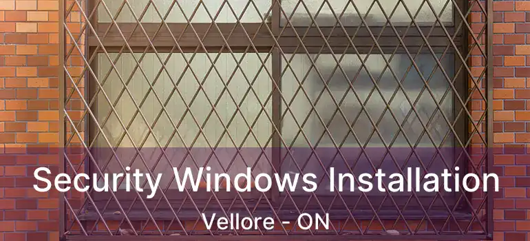 Security Windows Installation Vellore - ON