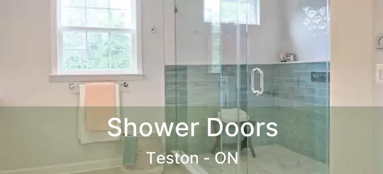  Shower Doors Teston - ON