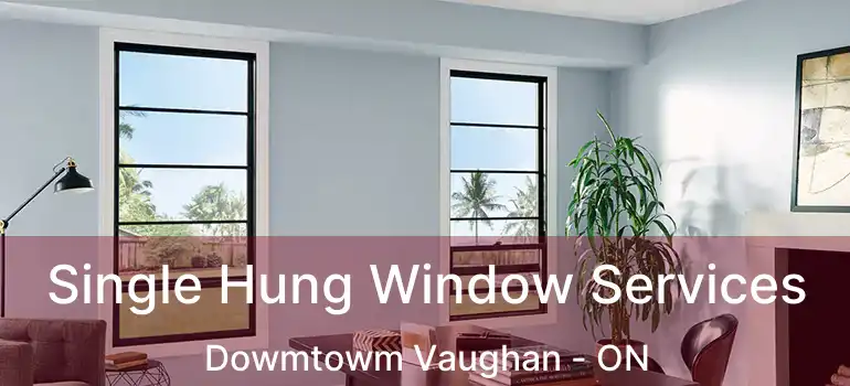  Single Hung Window Services Dowmtowm Vaughan - ON