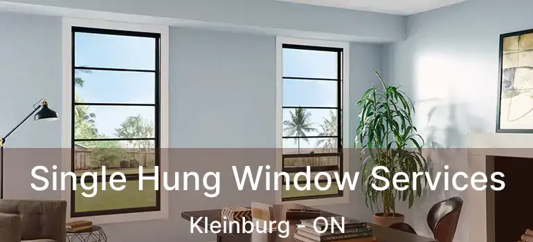  Single Hung Window Services Kleinburg - ON