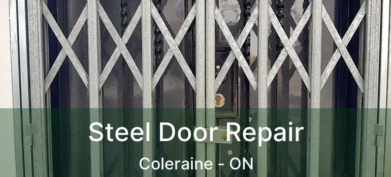  Steel Door Repair Coleraine - ON