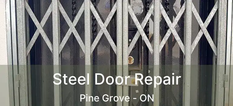  Steel Door Repair Pine Grove - ON