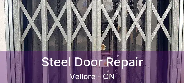  Steel Door Repair Vellore - ON