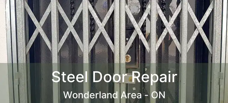  Steel Door Repair Wonderland Area - ON