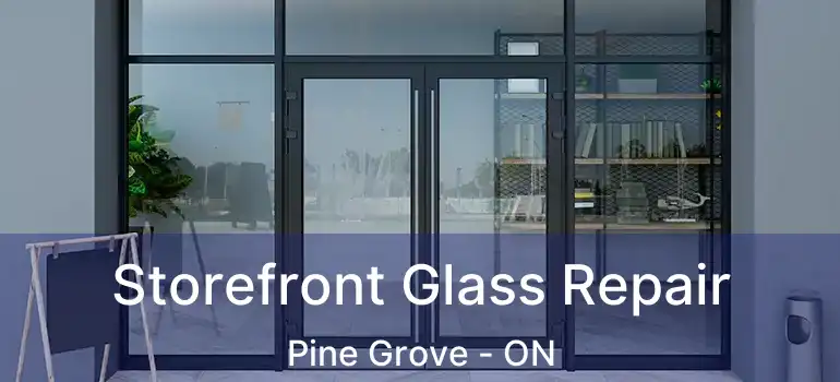  Storefront Glass Repair Pine Grove - ON