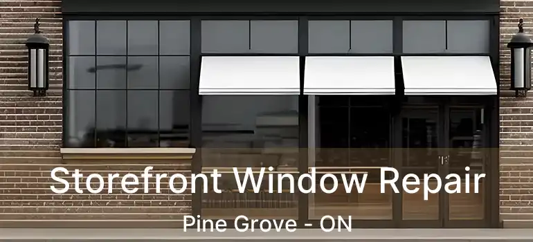  Storefront Window Repair Pine Grove - ON