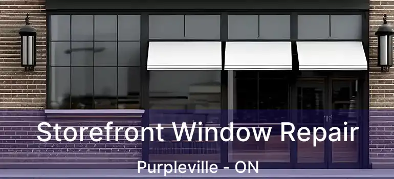  Storefront Window Repair Purpleville - ON