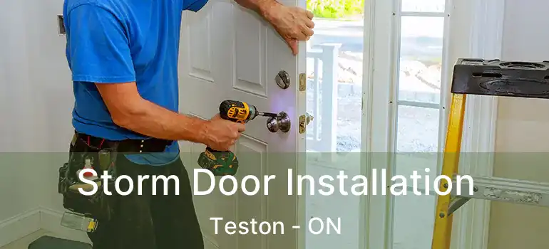  Storm Door Installation Teston - ON