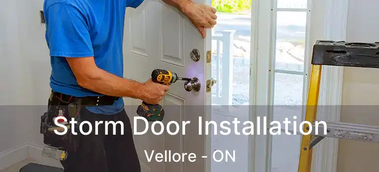  Storm Door Installation Vellore - ON