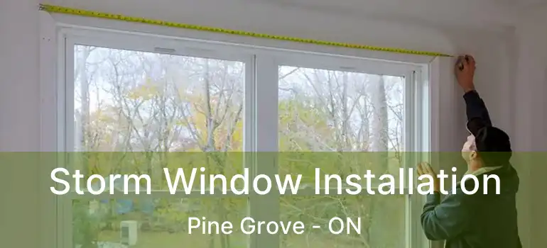  Storm Window Installation Pine Grove - ON