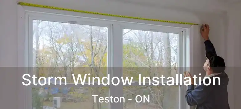  Storm Window Installation Teston - ON