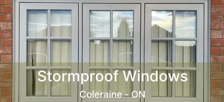  Stormproof Windows Coleraine - ON