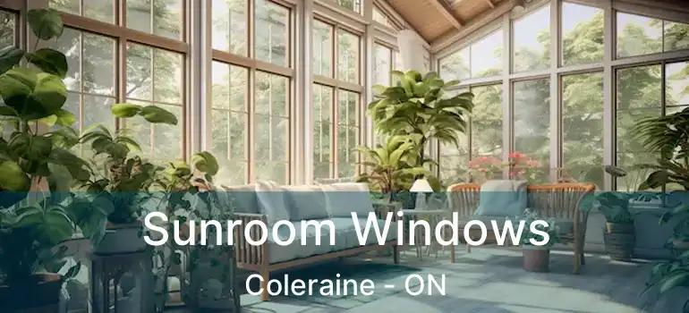 Sunroom Windows Coleraine - ON