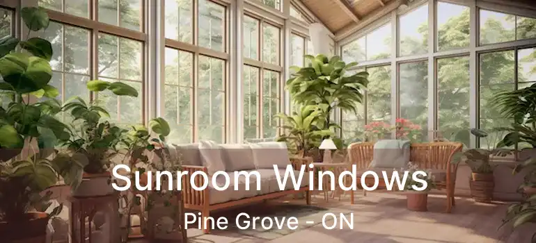  Sunroom Windows Pine Grove - ON