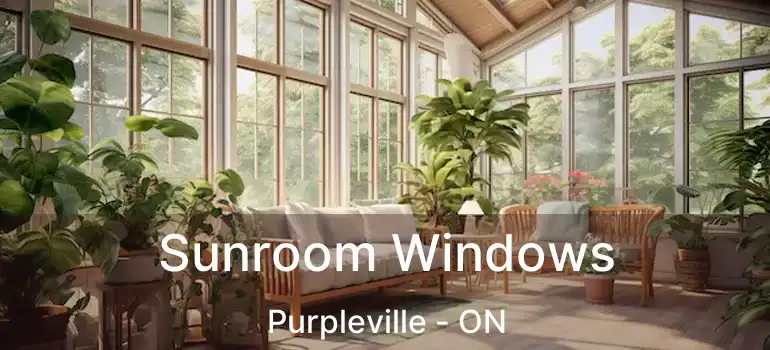  Sunroom Windows Purpleville - ON