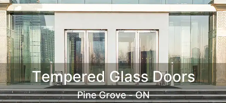  Tempered Glass Doors Pine Grove - ON