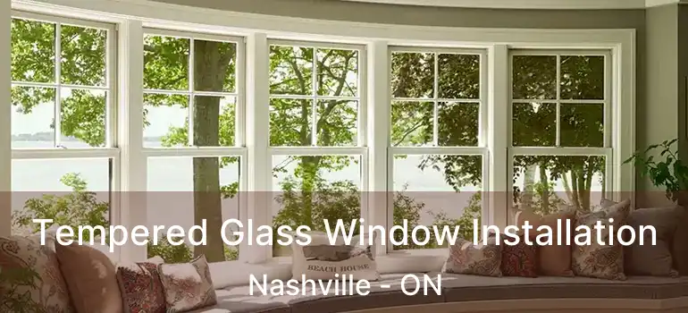  Tempered Glass Window Installation Nashville - ON