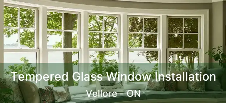  Tempered Glass Window Installation Vellore - ON
