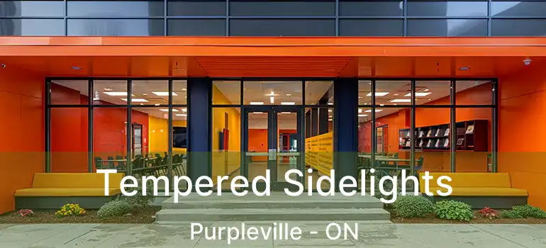  Tempered Sidelights Purpleville - ON