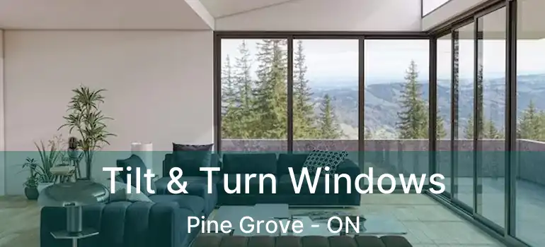  Tilt & Turn Windows Pine Grove - ON