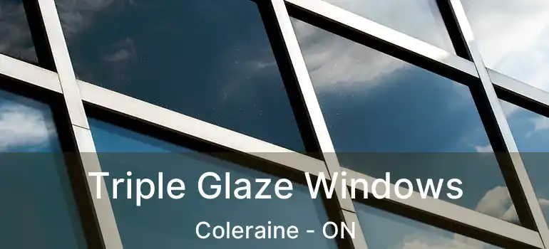  Triple Glaze Windows Coleraine - ON