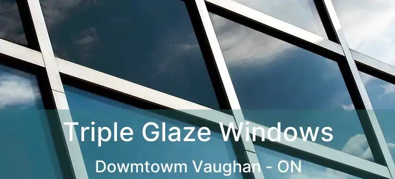 Triple Glaze Windows Dowmtowm Vaughan - ON