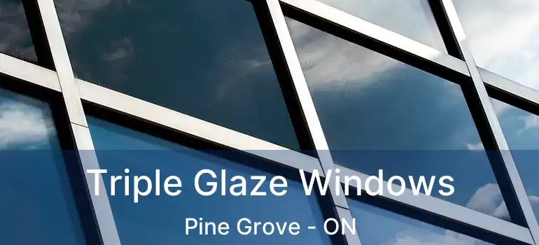  Triple Glaze Windows Pine Grove - ON