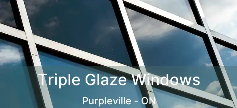  Triple Glaze Windows Purpleville - ON