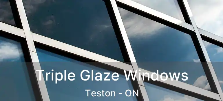  Triple Glaze Windows Teston - ON