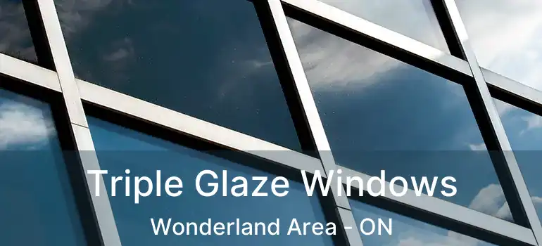  Triple Glaze Windows Wonderland Area - ON