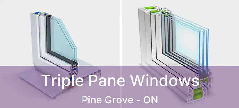  Triple Pane Windows Pine Grove - ON