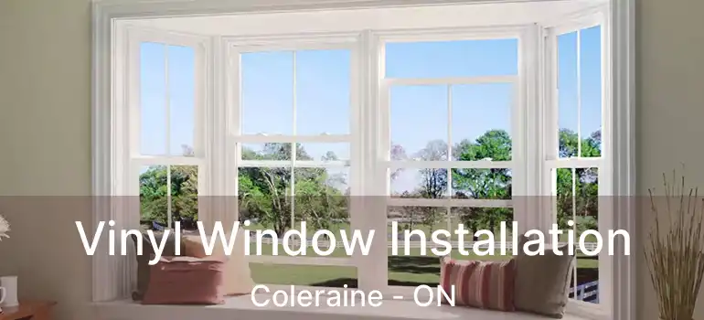  Vinyl Window Installation Coleraine - ON