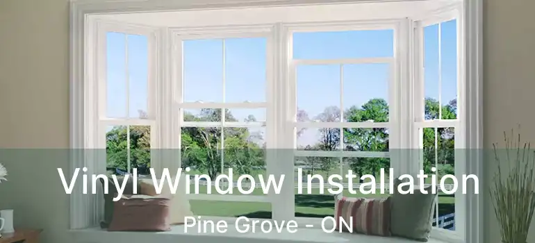  Vinyl Window Installation Pine Grove - ON