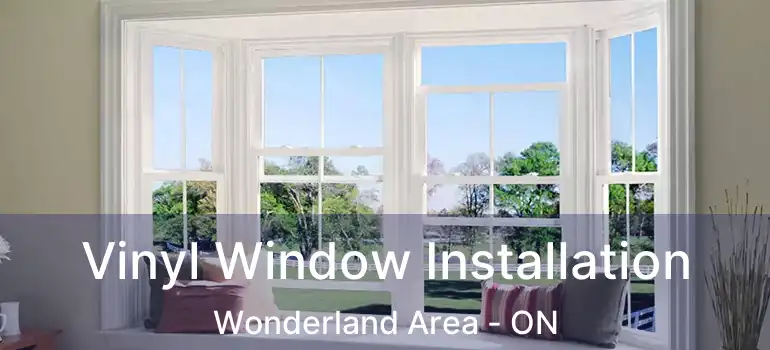  Vinyl Window Installation Wonderland Area - ON
