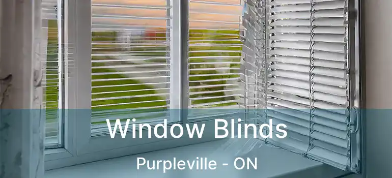  Window Blinds Purpleville - ON