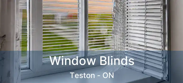  Window Blinds Teston - ON
