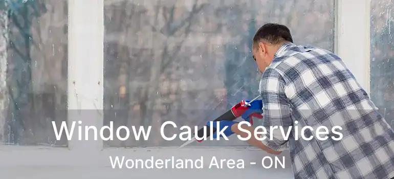  Window Caulk Services Wonderland Area - ON