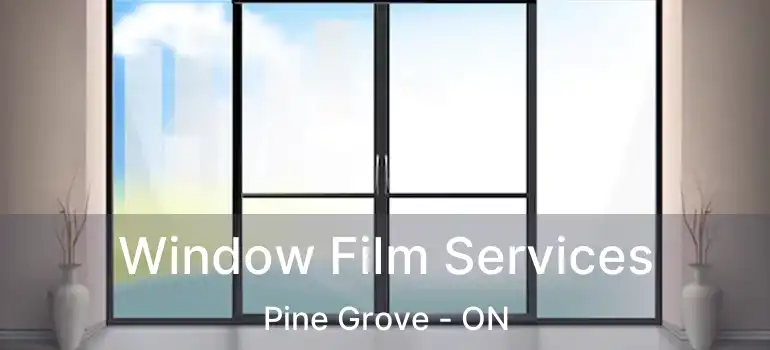  Window Film Services Pine Grove - ON