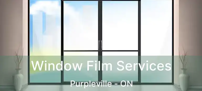  Window Film Services Purpleville - ON