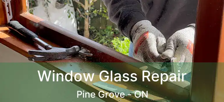  Window Glass Repair Pine Grove - ON