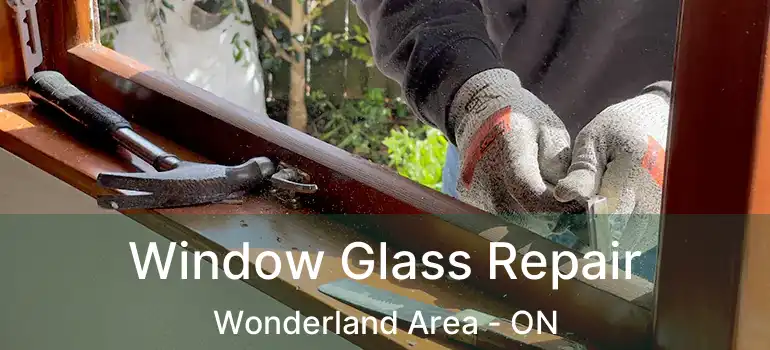  Window Glass Repair Wonderland Area - ON