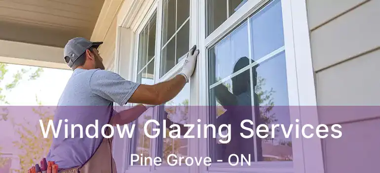  Window Glazing Services Pine Grove - ON