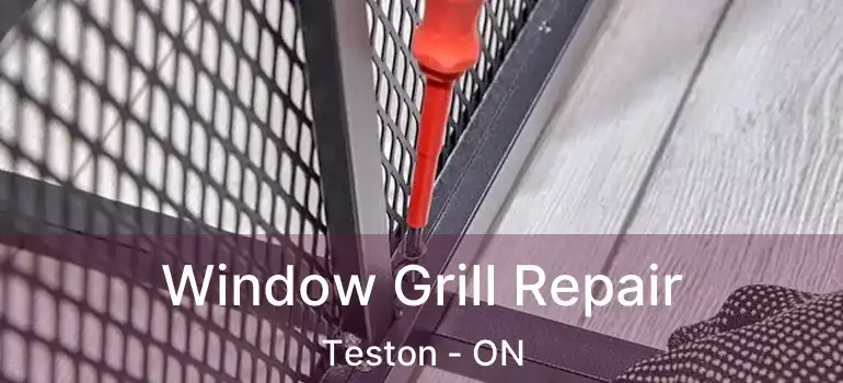  Window Grill Repair Teston - ON