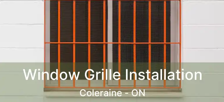  Window Grille Installation Coleraine - ON
