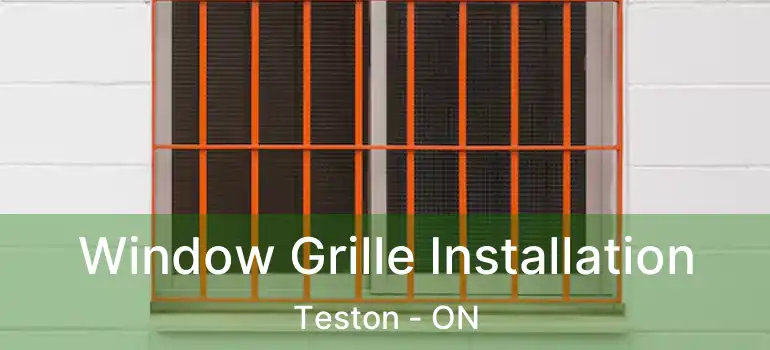  Window Grille Installation Teston - ON