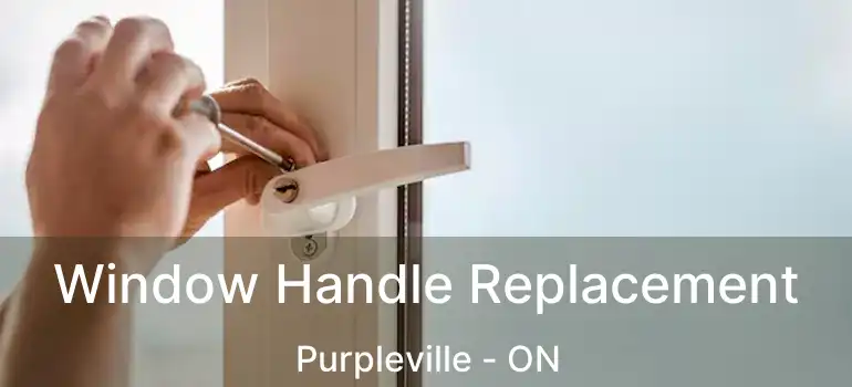  Window Handle Replacement Purpleville - ON
