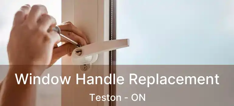  Window Handle Replacement Teston - ON