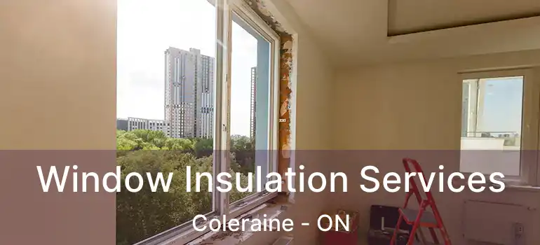  Window Insulation Services Coleraine - ON