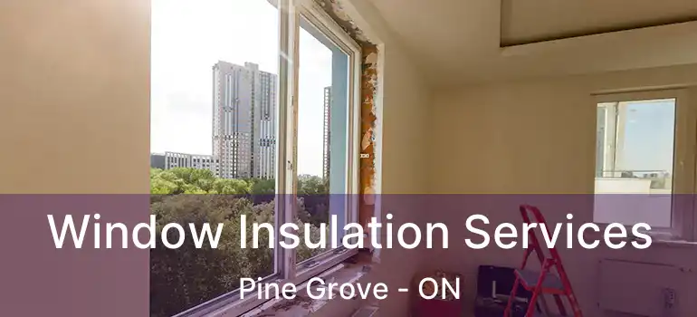  Window Insulation Services Pine Grove - ON